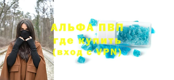 СК Елизово
