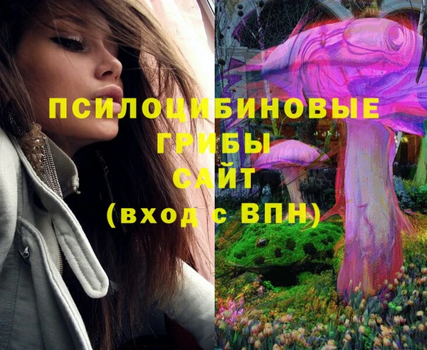 прущая мука Заводоуковск
