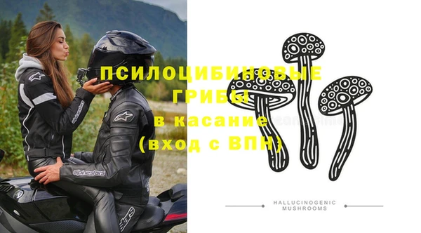 СК Елизово